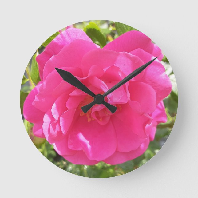 Rosa Rose Runde Wanduhr (Vorderseite)