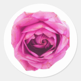 Rosa Rose Runder Aufkleber