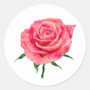 Rosa Rose Runder Aufkleber