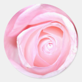 Rosa Rose Runder Aufkleber