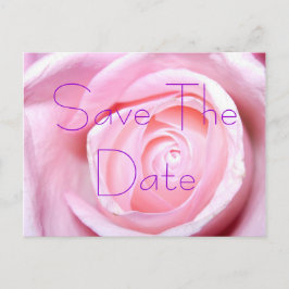 Rosa Rose, Save the Date Postkarte