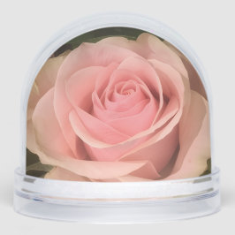 Rosa Rose Snow Globe Schneekugeln