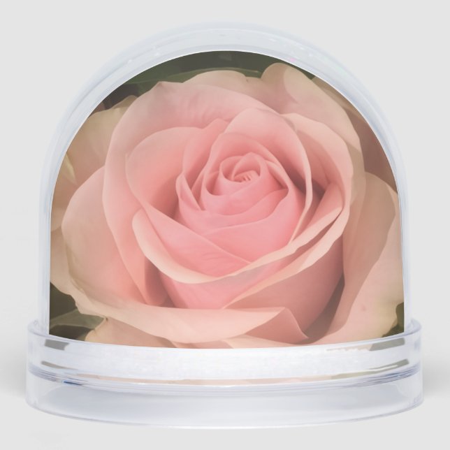 Rosa Rose Snow Globe Schneekugeln (Vorderseite)