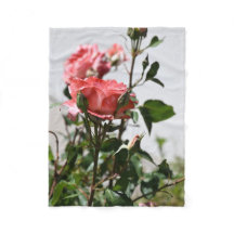 Rosa Rose Soft Blankon