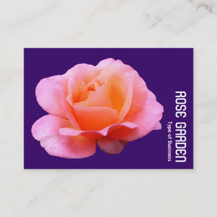 Rosa Rose (tief Lila) Visitenkarte