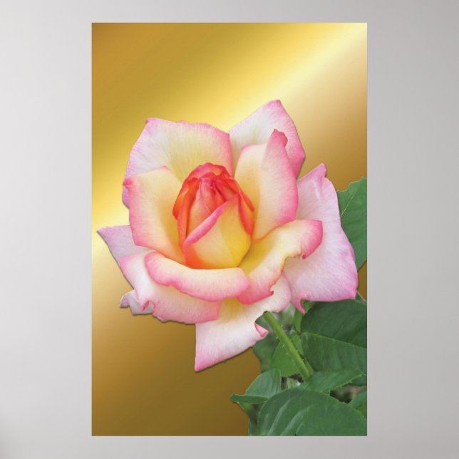 Rosa Rose über Gold mit zwei Tönen Poster (Vorne)