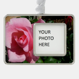 Rosa Rose und Bud Garden Rahmen-Ornament Silber