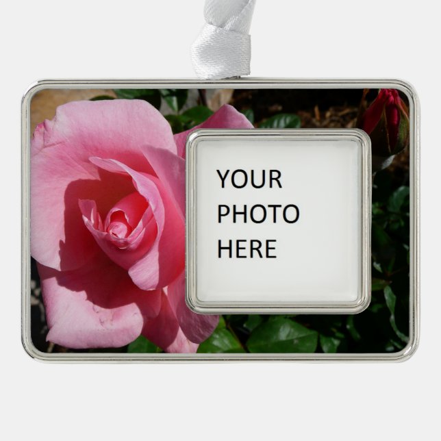 Rosa Rose und Bud Garden Rahmen-Ornament Silber (Vorderseite)