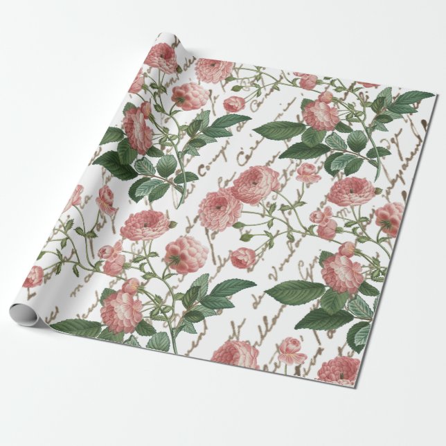 Rosa Rose Vintager französischer Script-Gold-Text Geschenkpapier (Ungerollt)