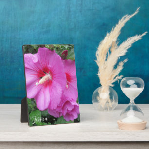 Rosa Rose von Sharon Floral Fotografy Monogram Fotoplatte