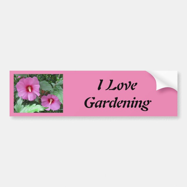 Rosa Rose von Sharon Foto I Liebe Gartenbau Autoaufkleber (Vorne)