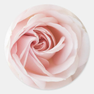 Rosa Rose & Weiß Holz Shabby Chic Brautdusche Runder Aufkleber