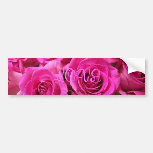 Rosa Rosen-Autoaufkleber Autoaufkleber (Vorne)