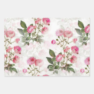 Rosa Rosen, blühend, Papier Set aus 3 Blättern