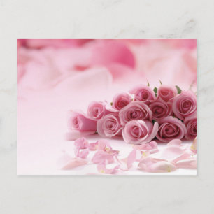 Rosa Rosen - Blumen Postkarte