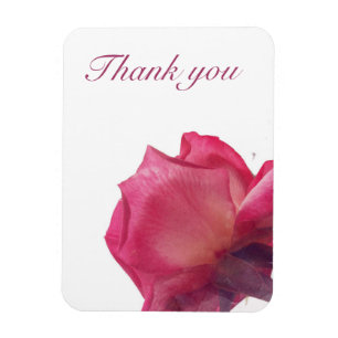 Rosa Rosen. Blumenillustration Magnet