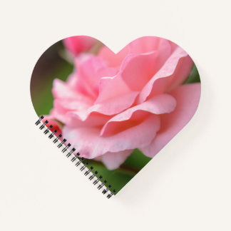 Rosa Rosen Eingewickelte Leinwand Notizbuch