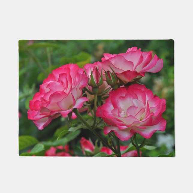 Rosa Rosen Fußmatte (Vorderseite)