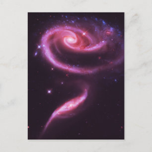 Rosa-Rosen-Galaxien Postkarte