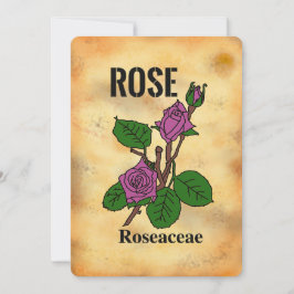 Rosa Rosen gealterter Papierstil Linienkunst Flach