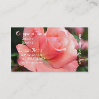 Rosa Rosen-Geschäfts-Karte Visitenkarte