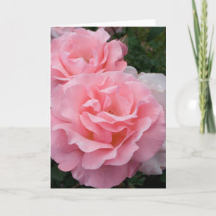 Rosa Rosen Grußkarte Karte
