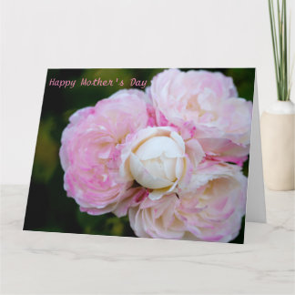 Rosa Rosen Karte