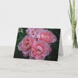 Rosa Rosen Karte