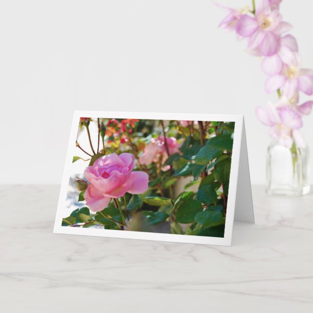 Rosa Rosen Karte (Orchidee)