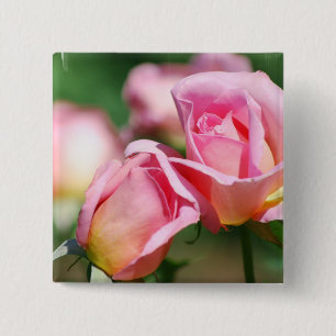 Rosa Rosen-Knospen-Button Button