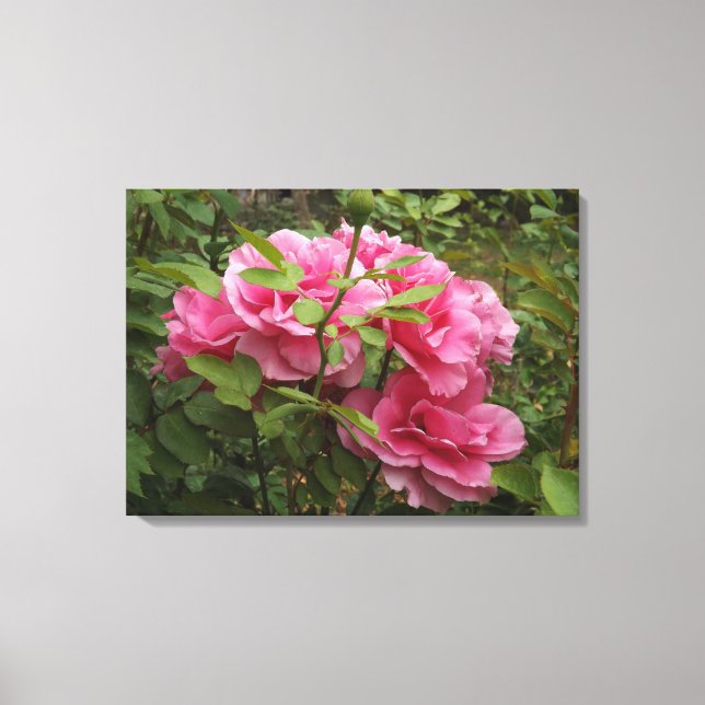 Rosa Rosen Leinwanddruck (Vorderseite)