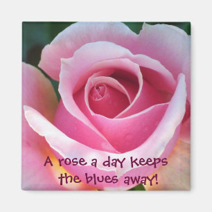 Rosa Rosen-Magnet Magnet