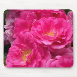 Rosa Rosen-Mausunterlage Mousepad
