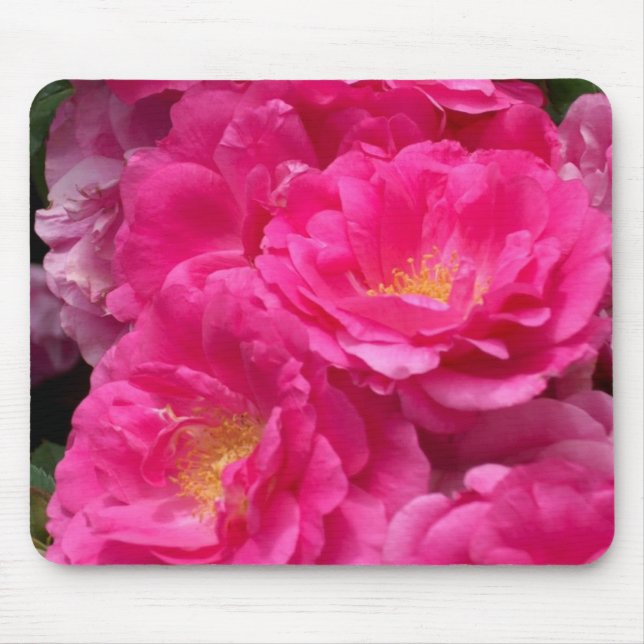 Rosa Rosen-Mausunterlage Mousepad (Vorne)