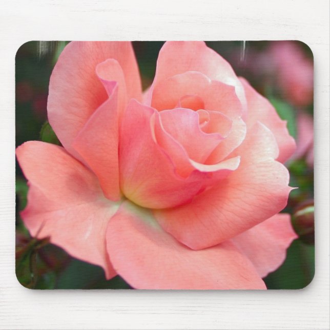 Rosa Rosen-Mausunterlage Mousepad (Vorne)