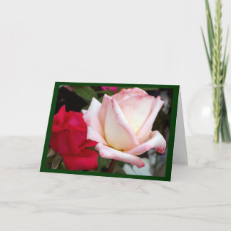 Rosa Rosen-Mitteilungskarten Karte