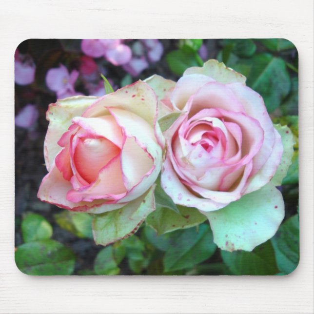 Rosa Rosen Mousepad (Vorne)