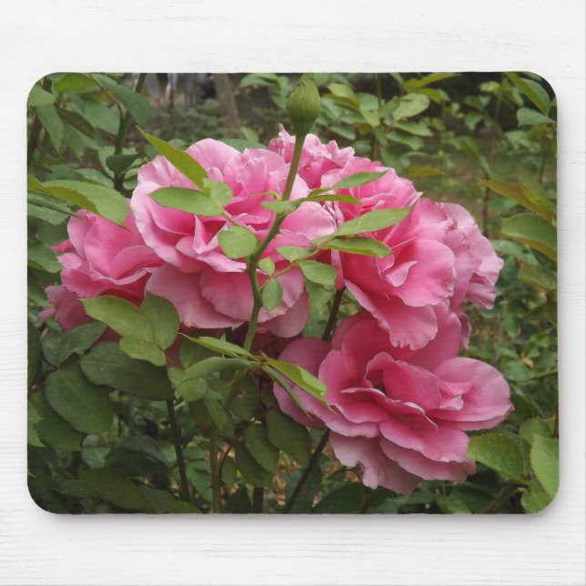 Rosa Rosen Mousepad (Vorne)