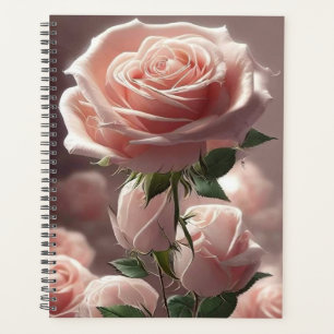 Rosa Rosen Planer
