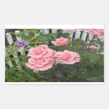 Rosa Rosen Rechteckkleber