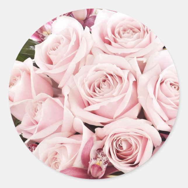 Rosa Rosen Runder Aufkleber (Vorderseite)