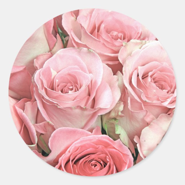 Rosa Rosen Runder Aufkleber (Vorderseite)