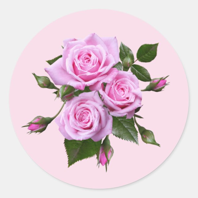 Rosa Rosen Rundkleber Umschlag Aufkleber (Vorderseite)