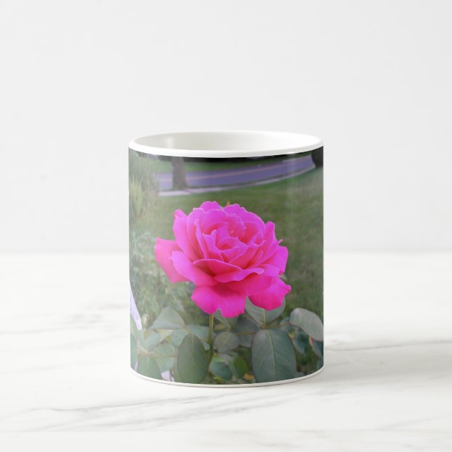 Rosa Rosen-Tasse Kaffeetasse (Mittel)