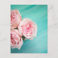 Rosa Rosen und aquamariner Hintergrund
