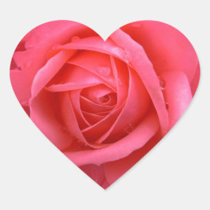Rosa Rosenaufkleber Pink Rose Geschenke Keepake Herz-Aufkleber