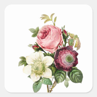 Rosa Rosenaufkleber Quadratischer Aufkleber