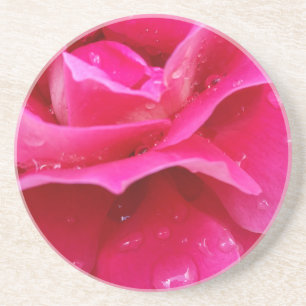 Rosa Rosenblätter Getränkeuntersetzer