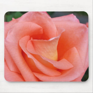 Rosa Rosenblätter Mousepad