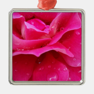 Rosa Rosenblätter Silbernes Ornament